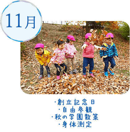 11月｜・木の実・木の葉であそぶ・秋のおさんぽ・粘土あそび